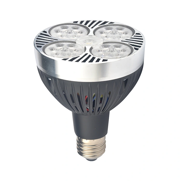 Sanan chip par30 spotlights